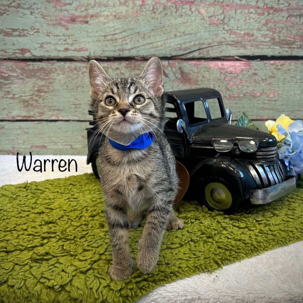 Warren