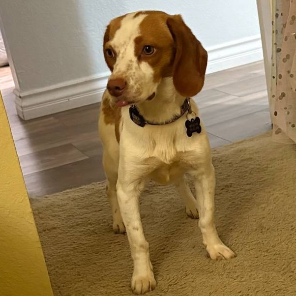 Sophie(33)- Chino Hills Location