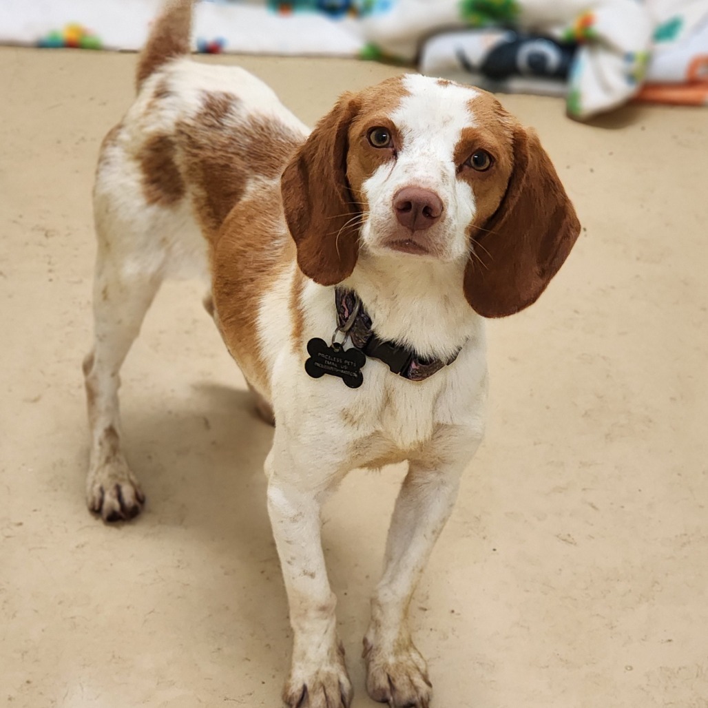 Sophie(33)- Chino Hills Location