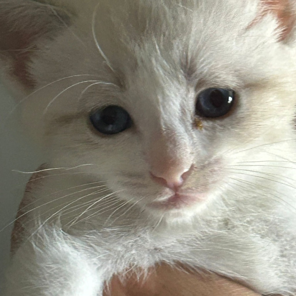 Cloud