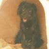Matilda photo 2