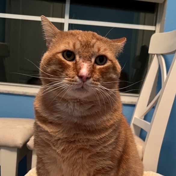 Mufasa