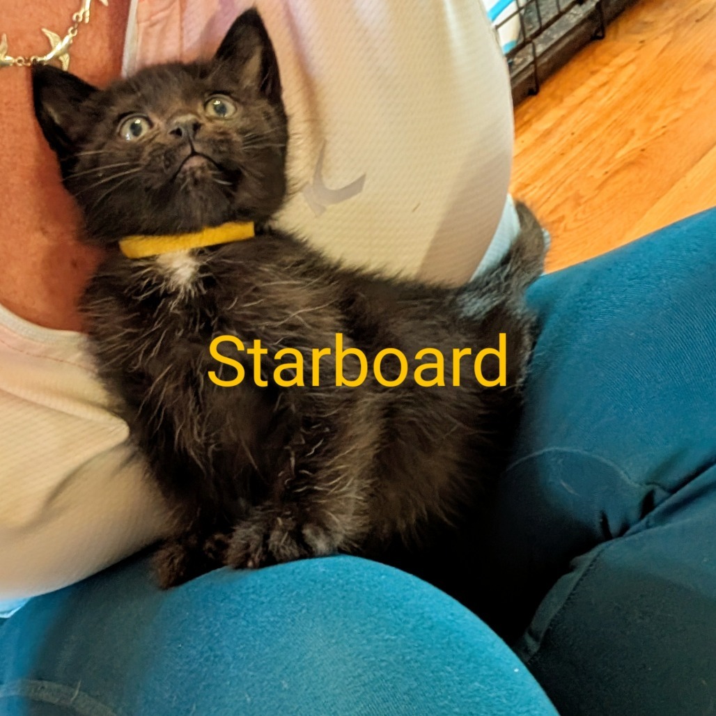 Starboard