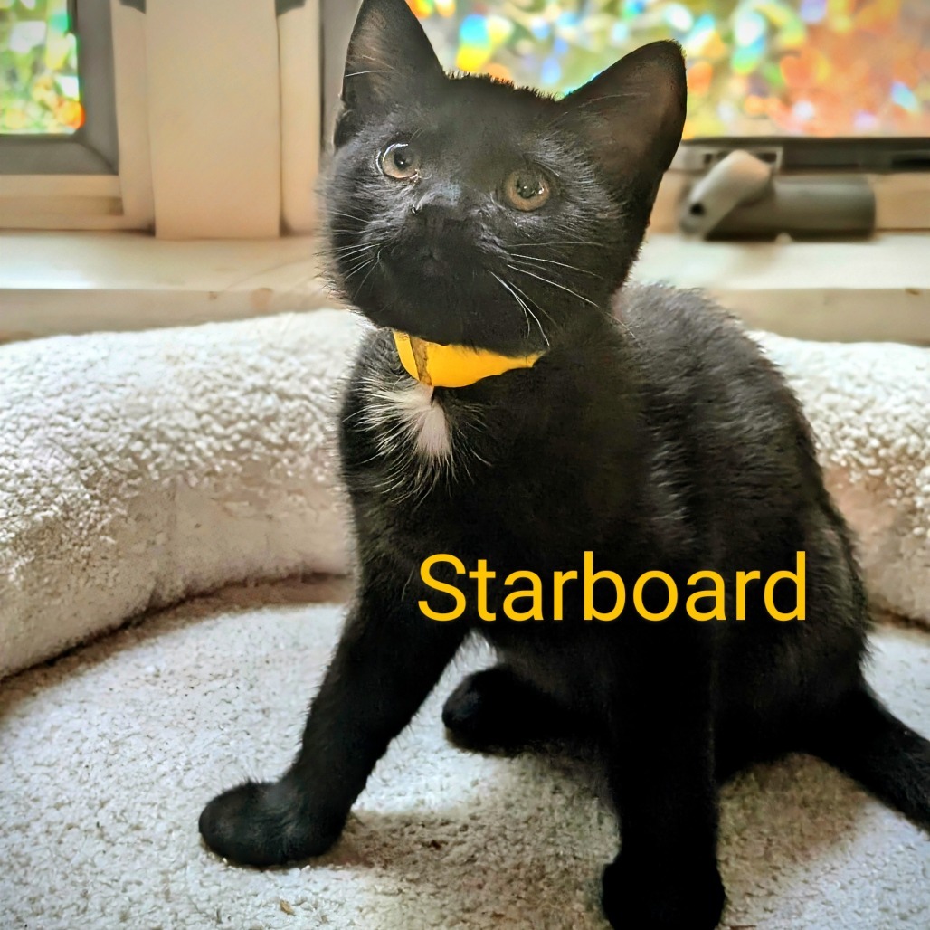 Starboard