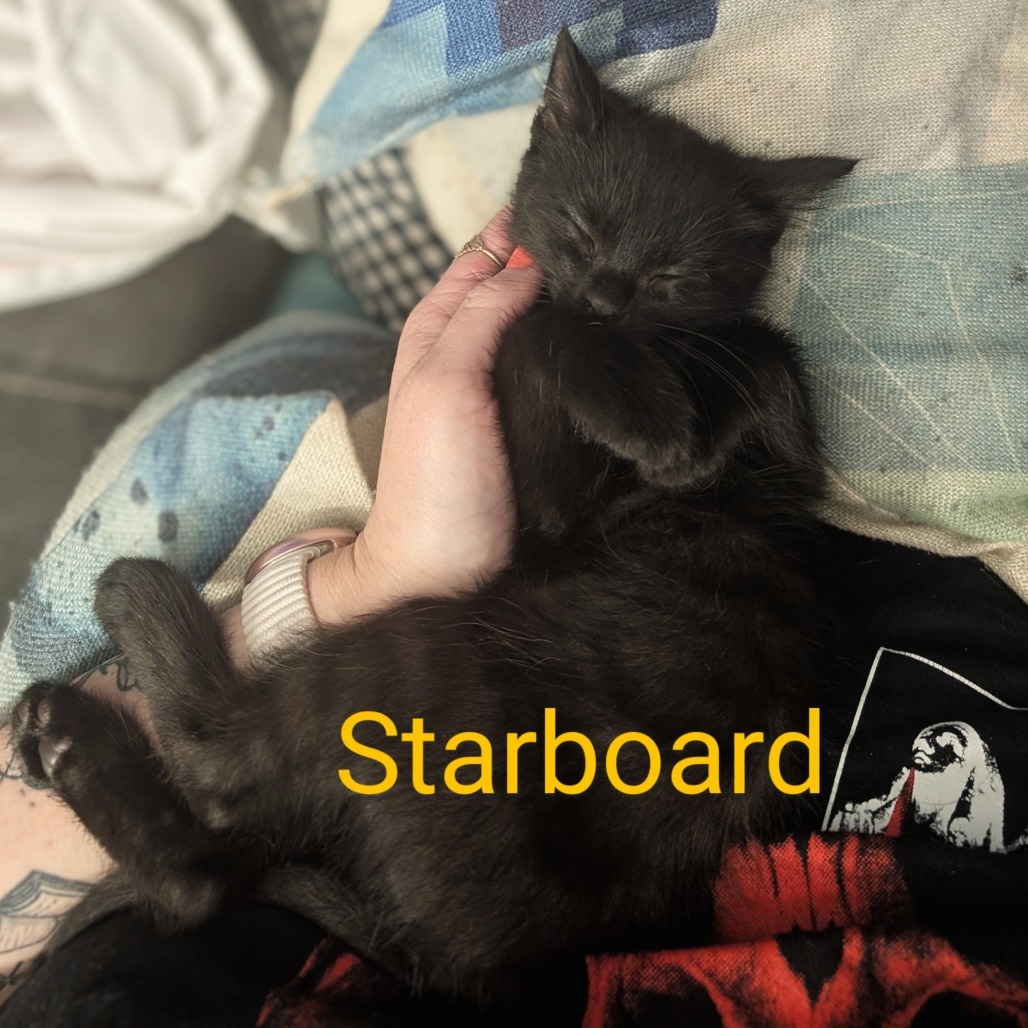 Starboard