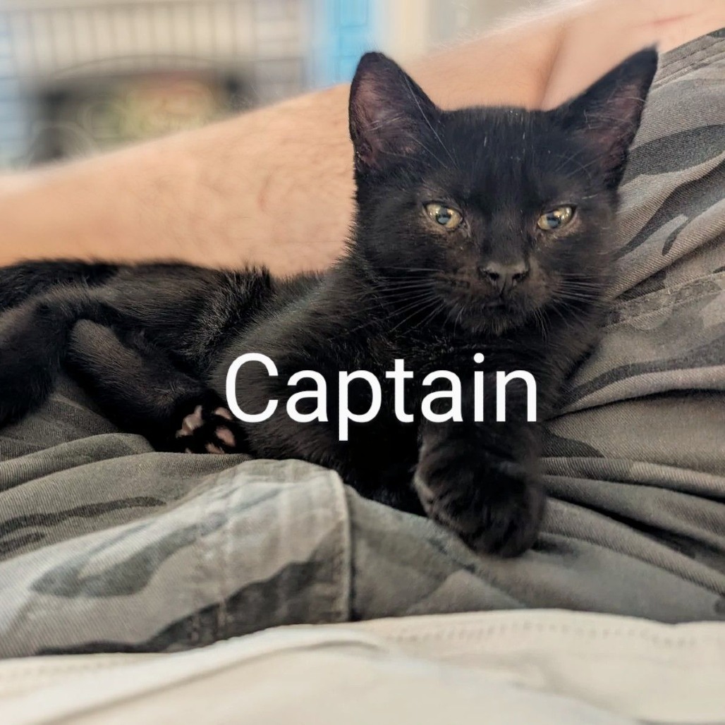 Captain