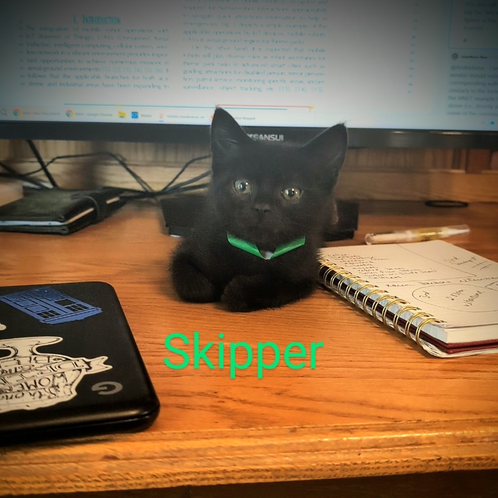 Skipper