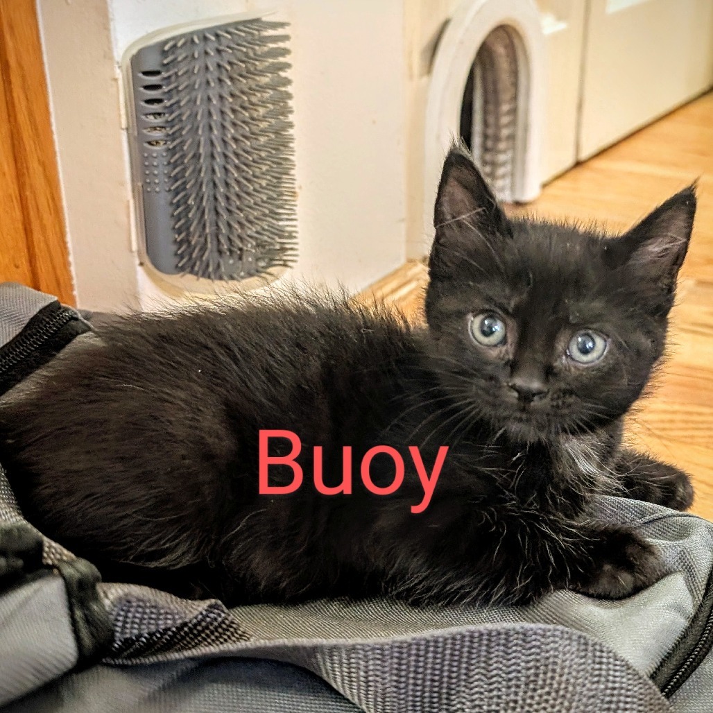 Buoy