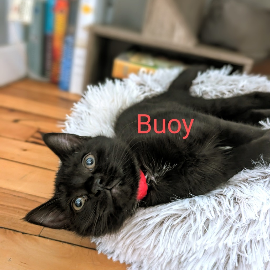 Buoy