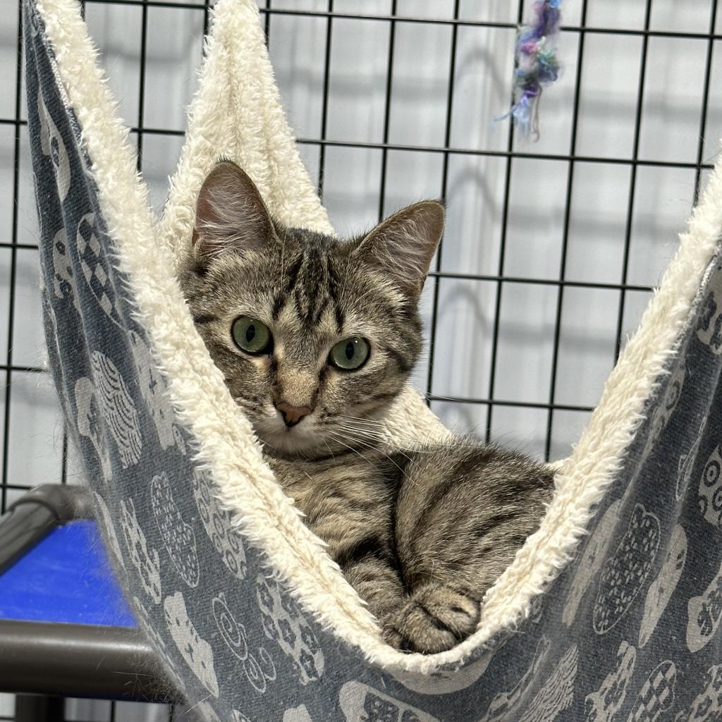 Xena