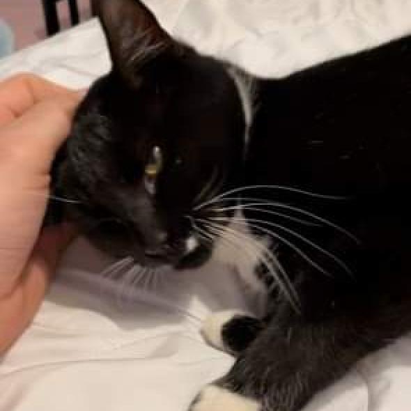 Sam