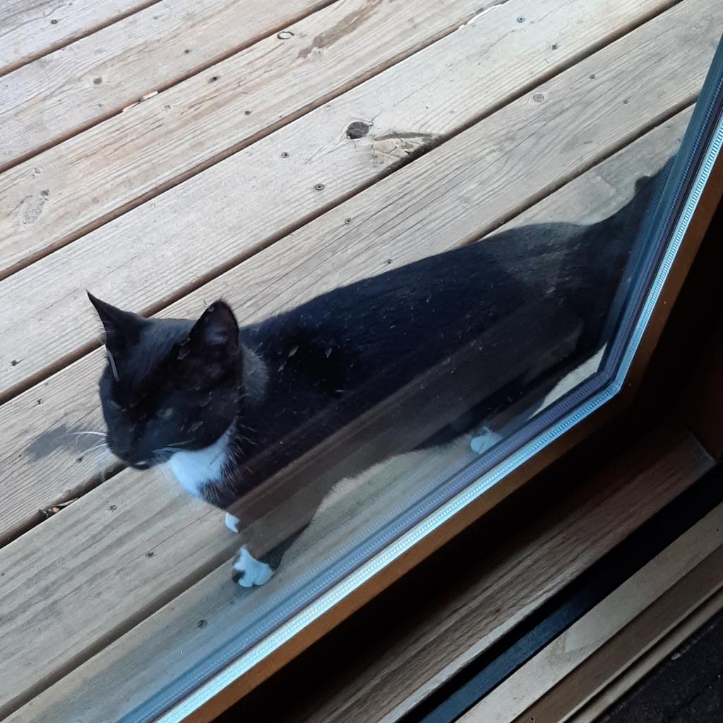 Sam