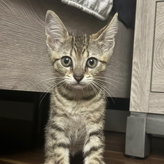 Max