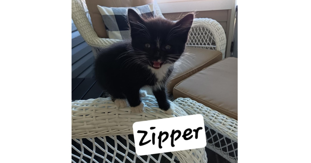 Zipper
