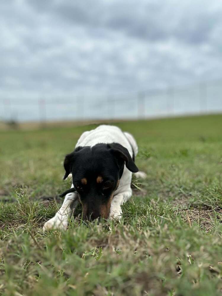 Gigi