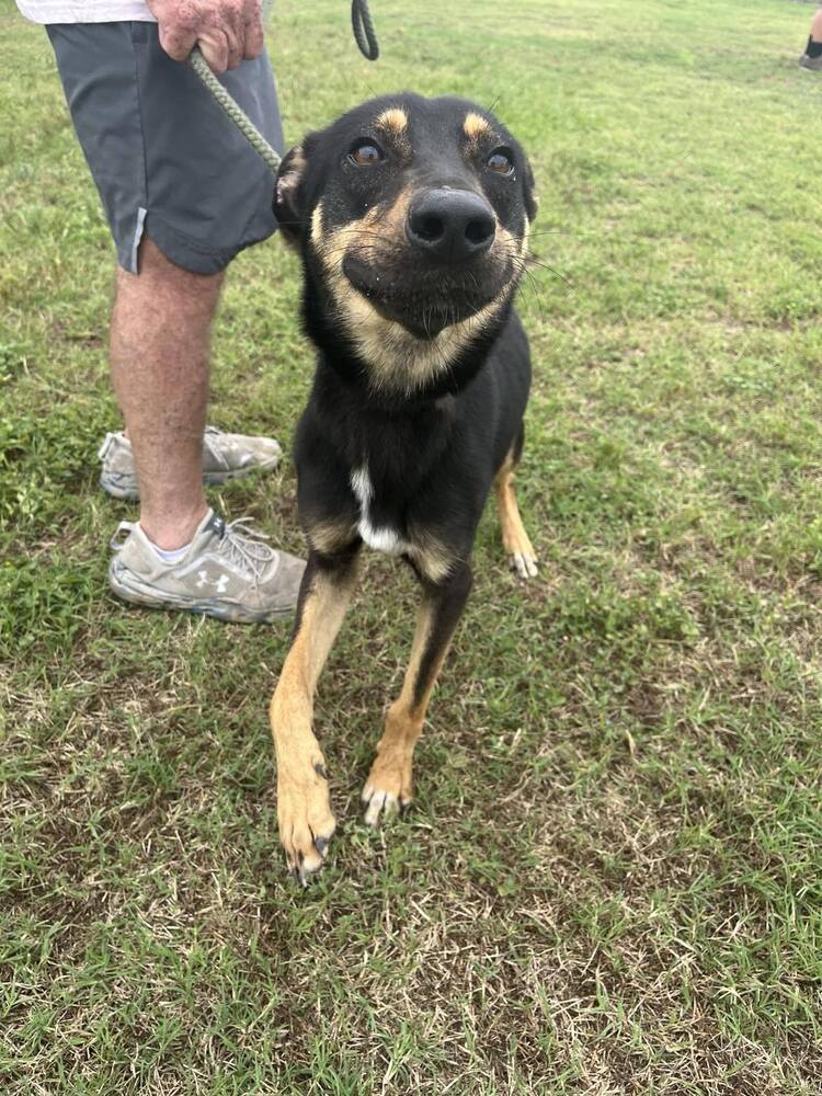 Sam