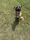 Bonnie photo 4