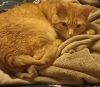 Felix photo 4