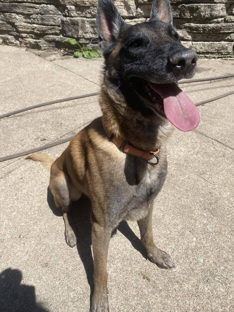 Ragnar located in MO