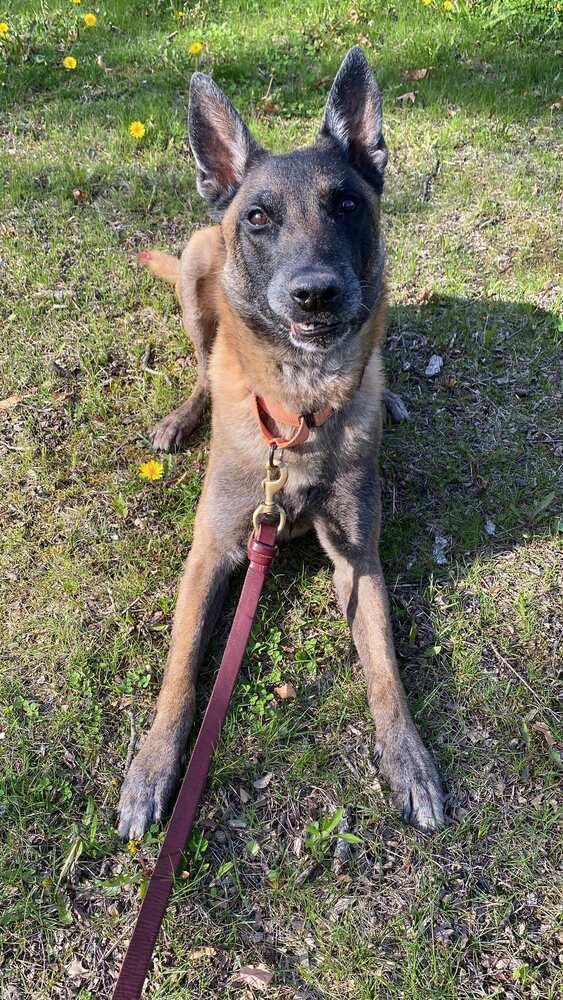 Ragnar located in MO