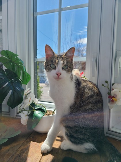 Luna