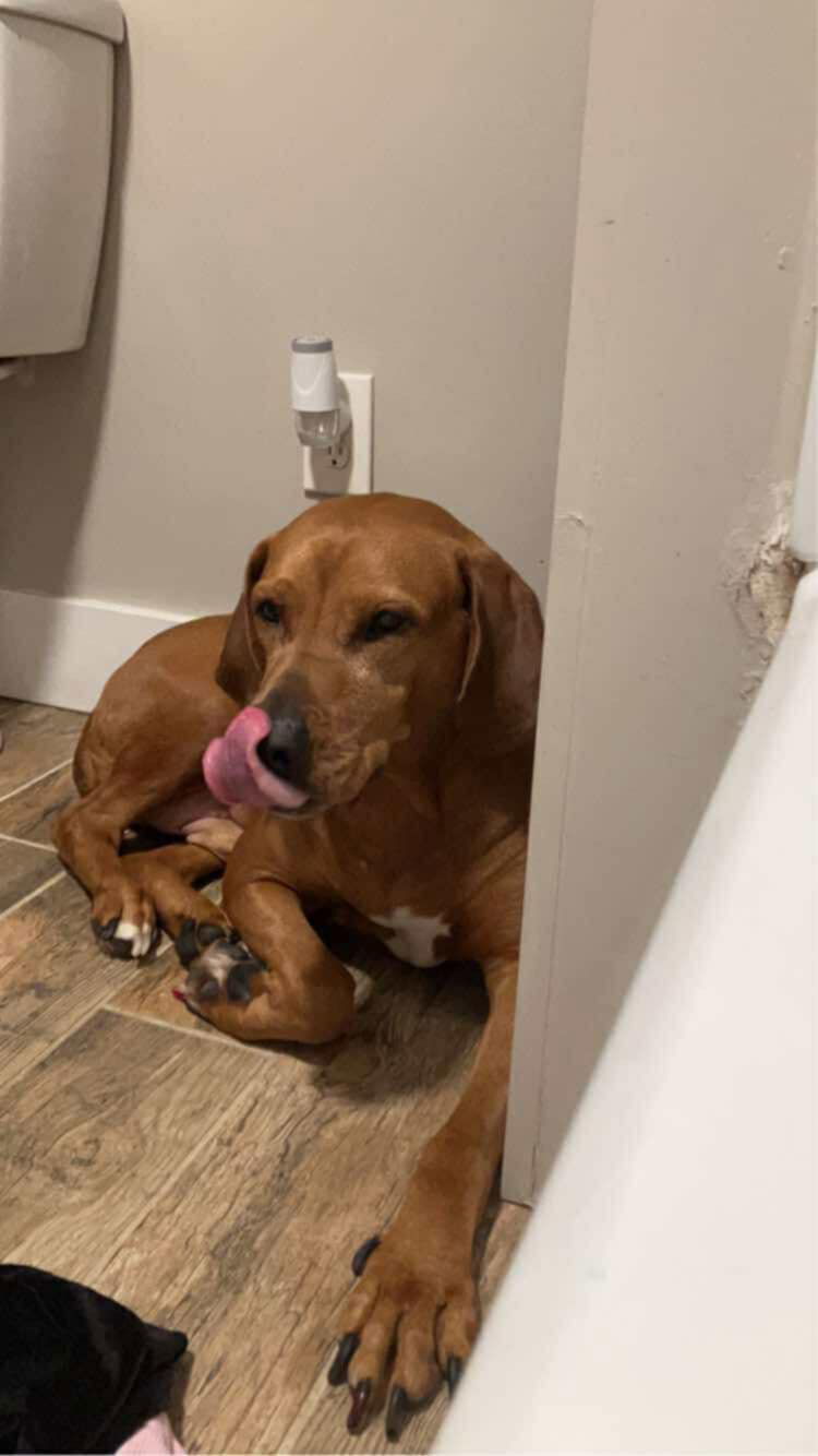 Red: "My Home to Yours"