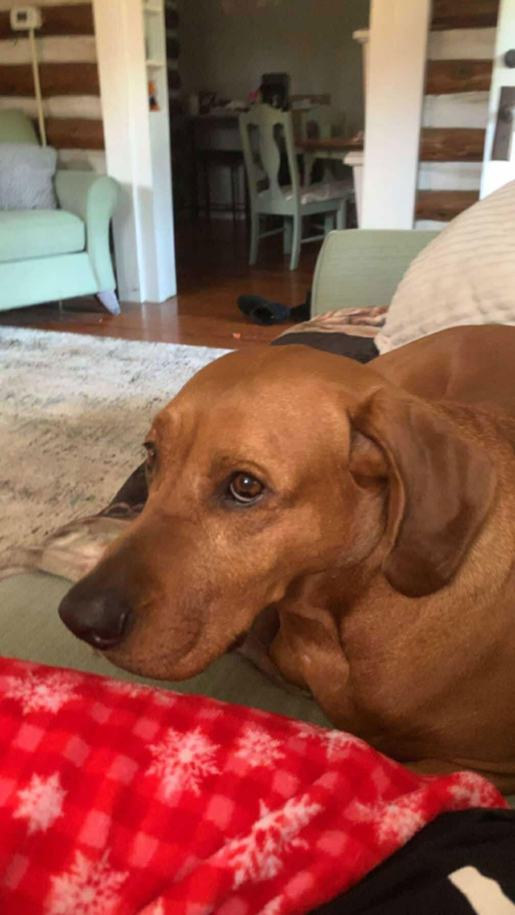 Red: "My Home to Yours"