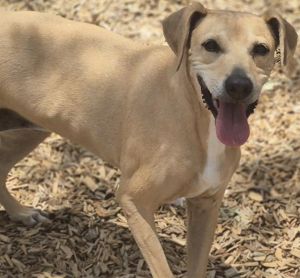 MILEY, Senior Female unknown