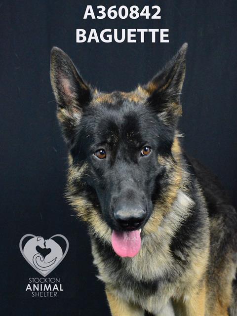 BAGUETTE
