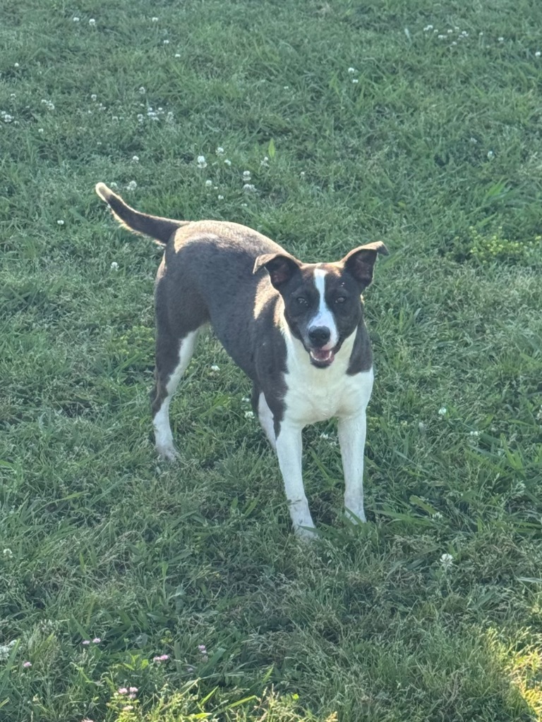 Lucy (Tanya)