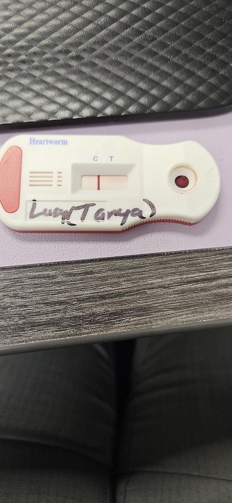 Lucy (Tanya)