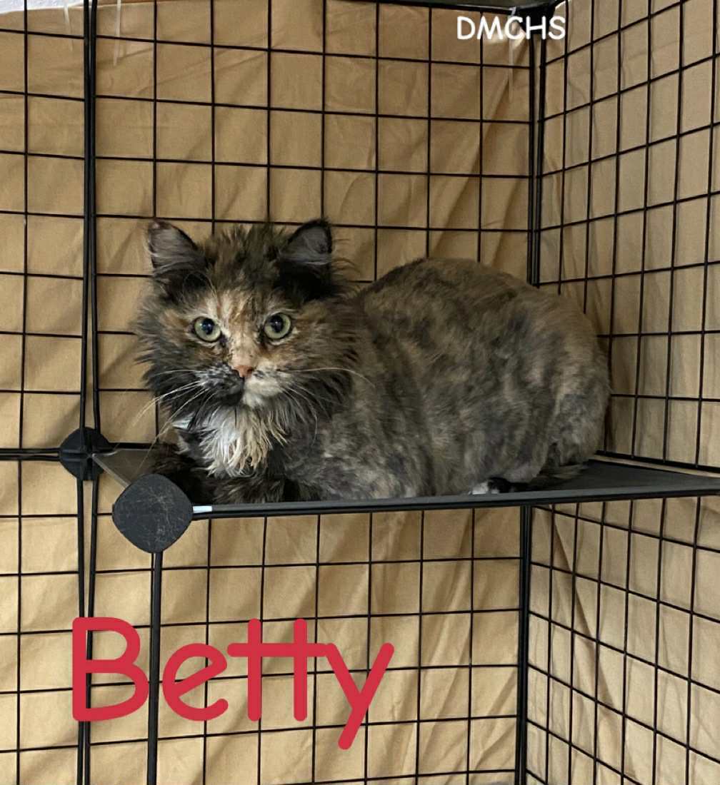 Betty