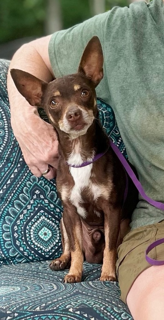 Mojo
