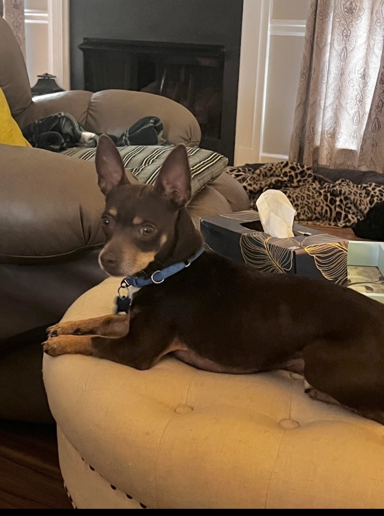 Mojo