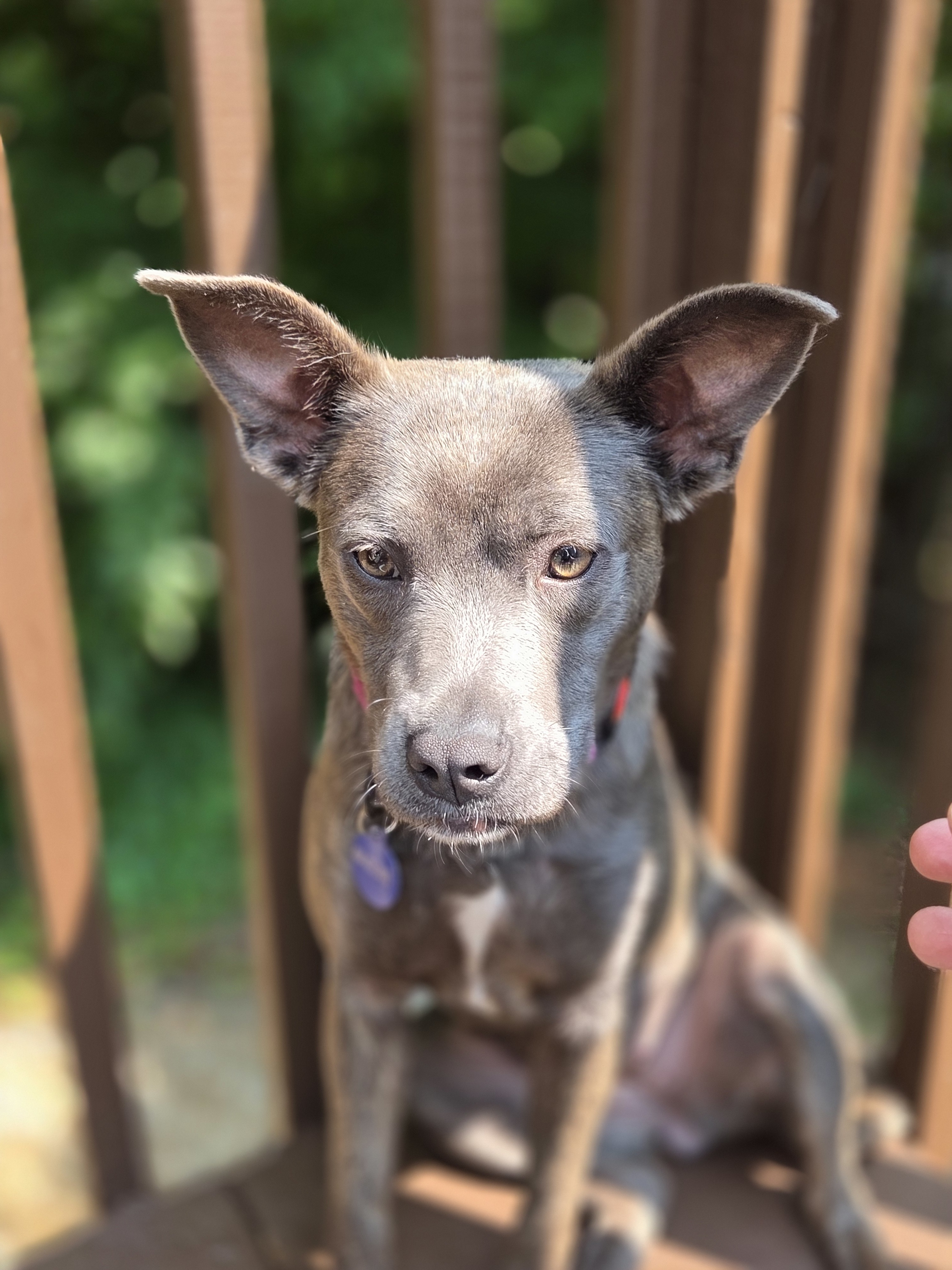 Sue