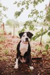 83162a Missy photo 1