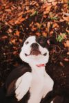 83162a Missy photo 3