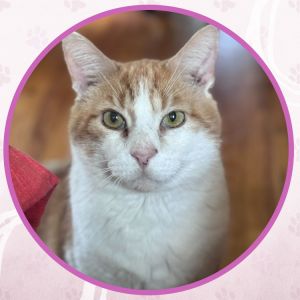 Danny Phantom, Senior Male unknown