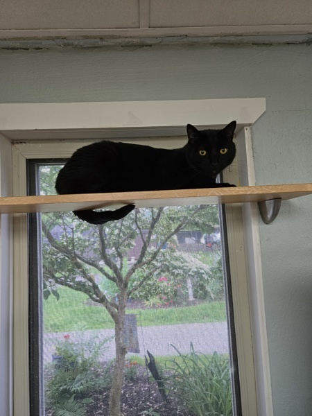 Odin