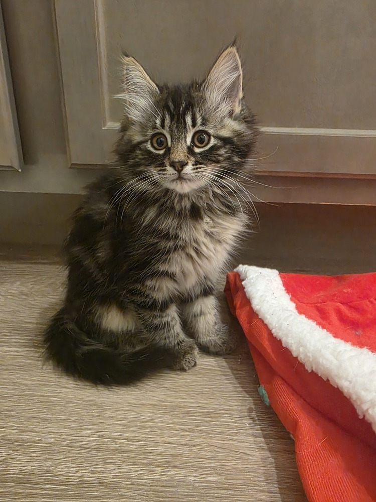 Effie