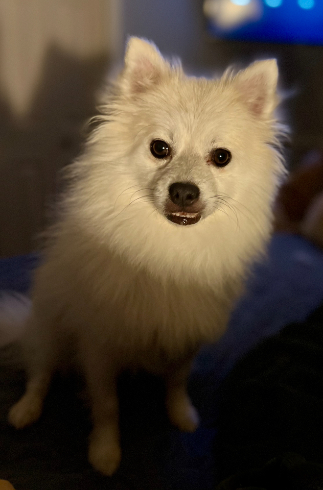 Seymour