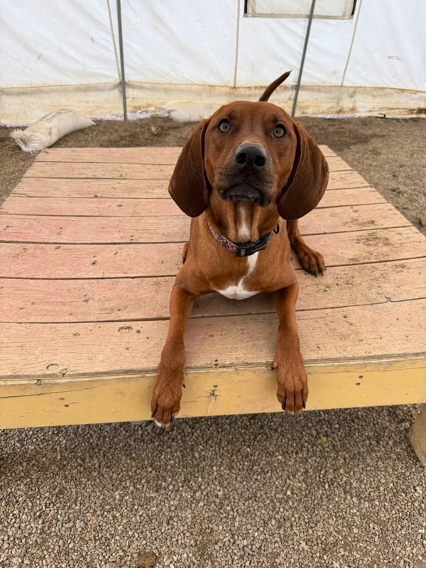 Max