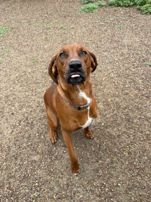 Max