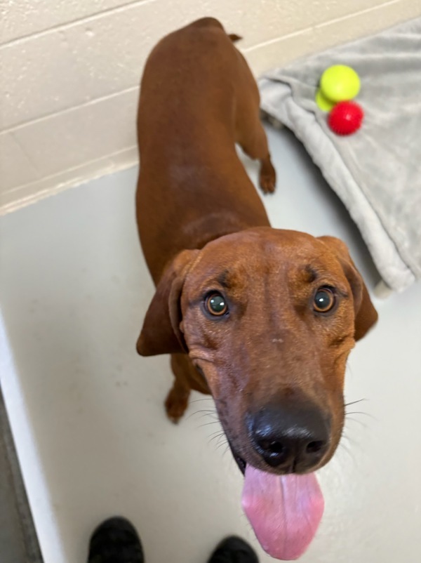 Max