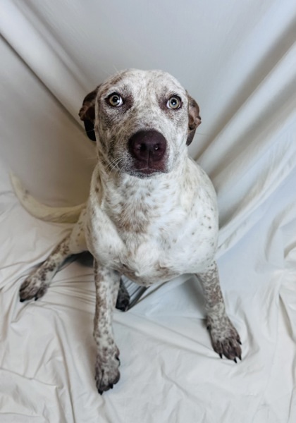 Maggie