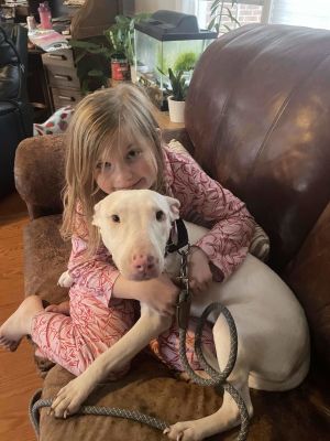 Wilma loves kids and is a spunky little bully She is an escape artist so needs close supervision W