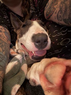 Fiona just came into the program so we dont know much besides her being very sweet loving human a