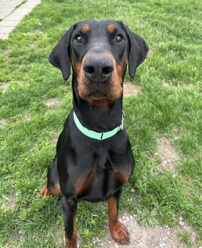 Etta