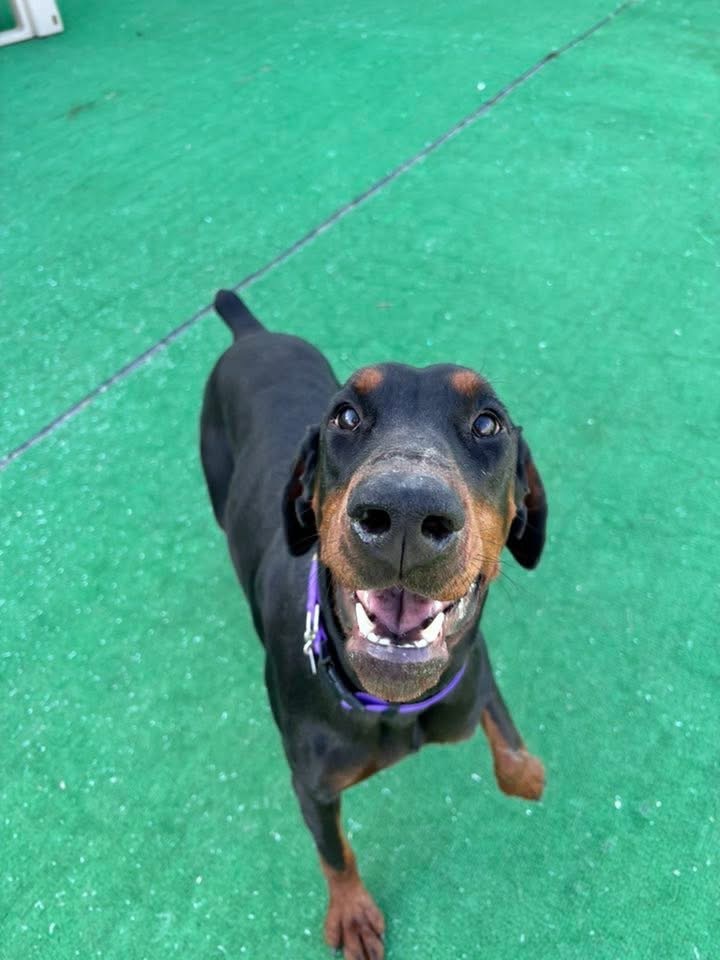 Etta