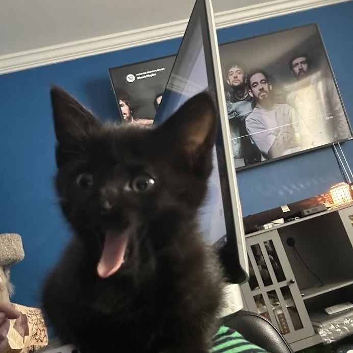 Salem